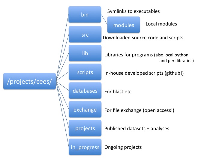 Projects cees folder.jpg