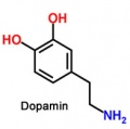 Dopamin.jpg