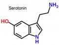 Serotonin.jpg